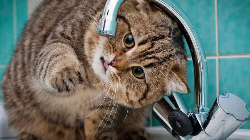 Масштабные отключения воды в Одессе: полный список адресов