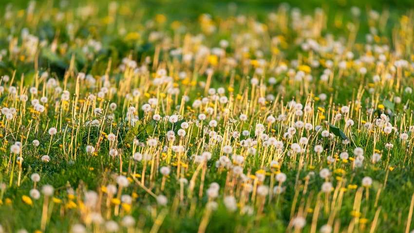 Від джинсів до джазу: як різні країни святкують 20 травня Від джинсів до джазу: як різні країни святкують 20 травня