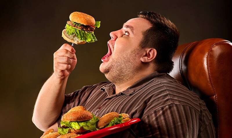 Можно есть бургеры и не толстеть: в чем секрет Можно есть бургеры и не толстеть: в чем секрет