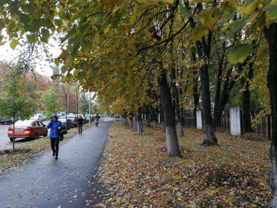 Погода сегодня: снег в Европе и "жара" в Украине 