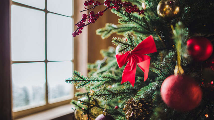 П'ять речей, які треба встигнути зробити в грудні