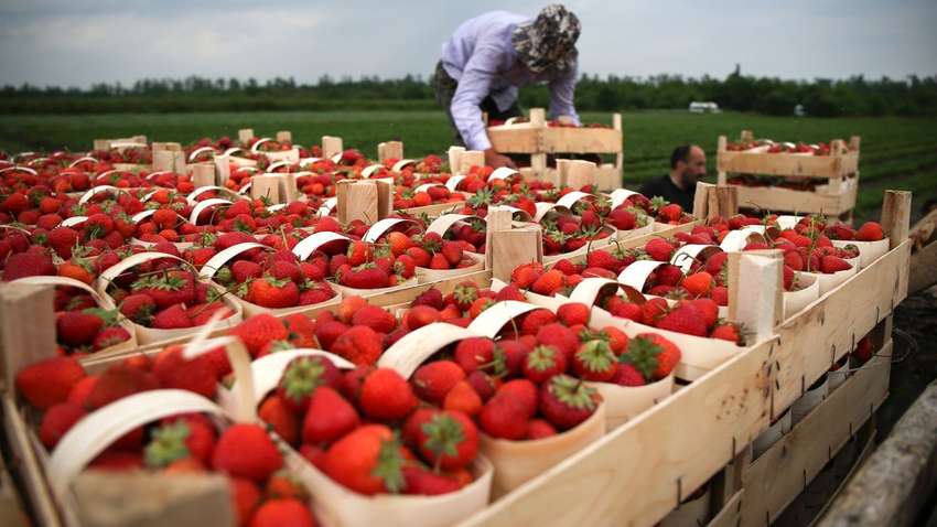 Польща відкриє повітряний простір для заробітчан з України