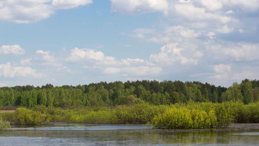 Забруднена вода “дійшла” до Чернігова: які загрози існують