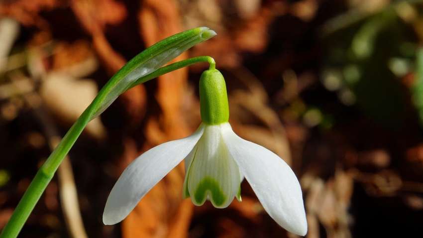 Холод відступає: синоптик розповіла, як зміниться погода в Україні