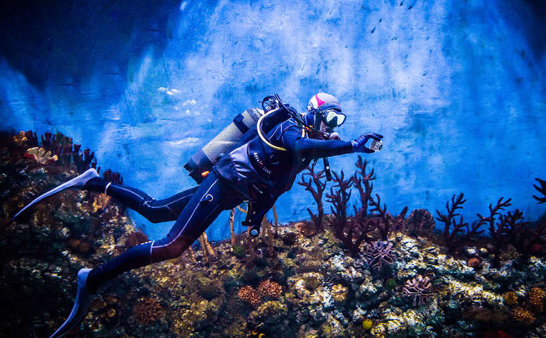 Дайверы нашли древние сокровища на дне моря и достали их штопором Дайверы нашли древние сокровища на дне моря и достали их штопором