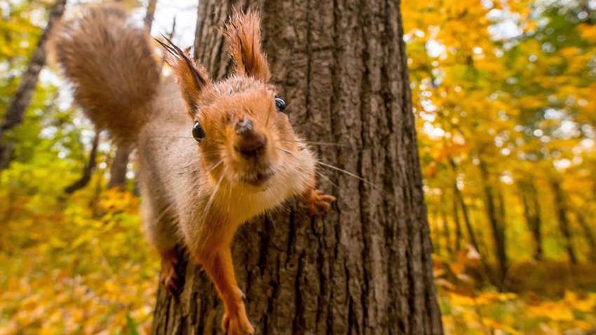 Синоптики сообщили, когда закончится бабье лето и начнется осень с дождями