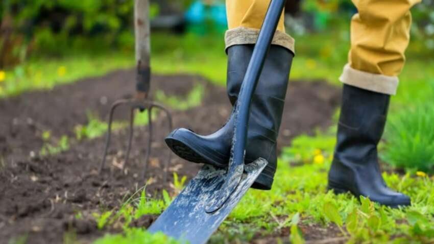 Квітень вирішує все: коли садити, щоб зібрати рекордний урожай – повний календар дачника Квітень вирішує все: коли садити, щоб зібрати рекордний урожай – повний календар дачника