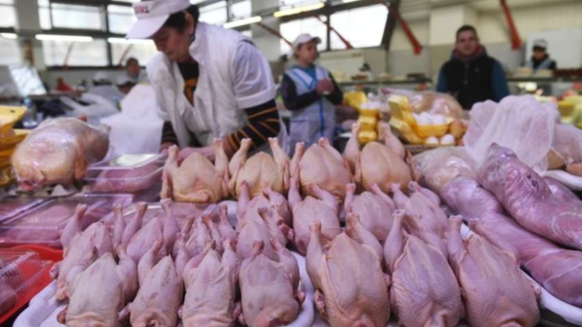 Громадська організація дослідила популярні торгові марки курятини: результати