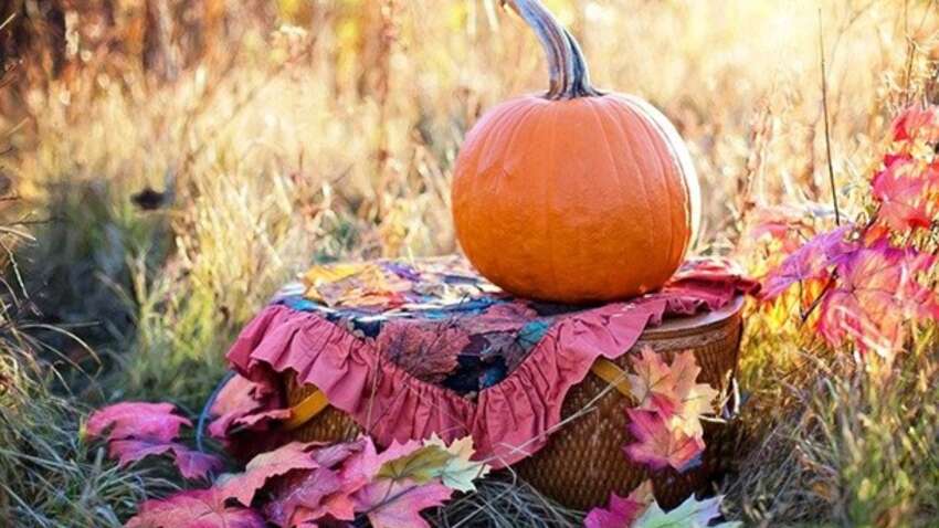 Какой церковный праздник 8 октября: что сегодня считается большим грехом Какой церковный праздник 8 октября: что сегодня считается большим грехом