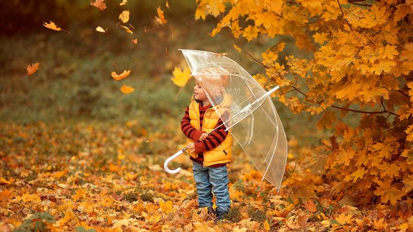 Синоптики рассказали, где в Украине ухудшится погода Синоптики рассказали, где в Украине ухудшится погода