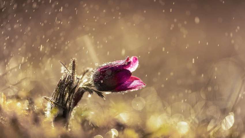 Погода на 3 мая в Украине: в каких областях пройдут дожди и грозы