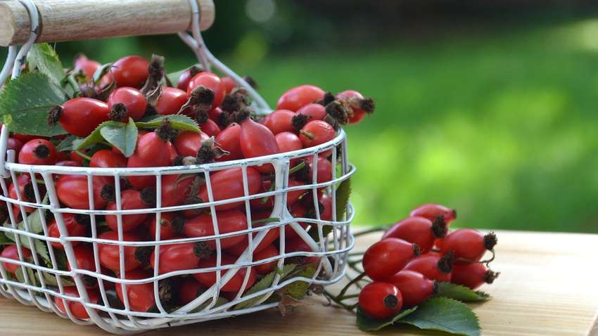 Ученые назвали лучшее природное средство от выпадения волос Ученые назвали лучшее природное средство от выпадения волос