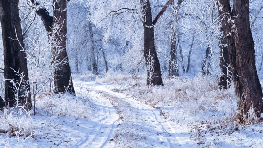 Украинцев ждет ненормальная для января погода: к чему готовиться