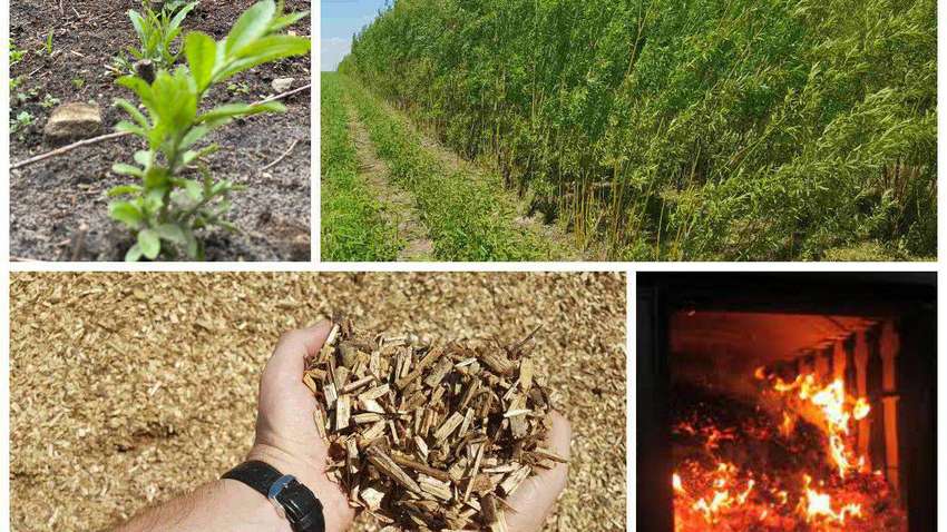 27 мая - конференция «Способна ли биоэнергетика сделать Украину энергонезависимой?»