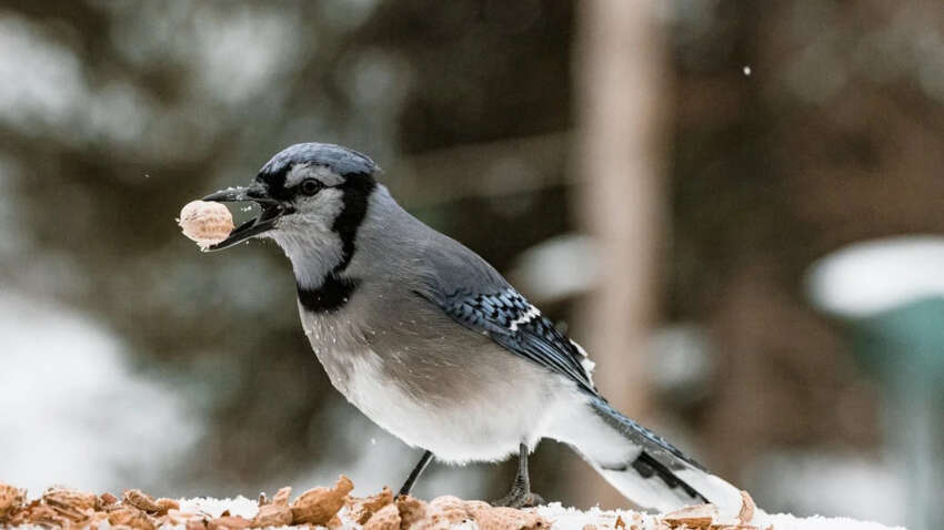 Церковный праздник 24 февраля: что сегодня считается добрым знаком