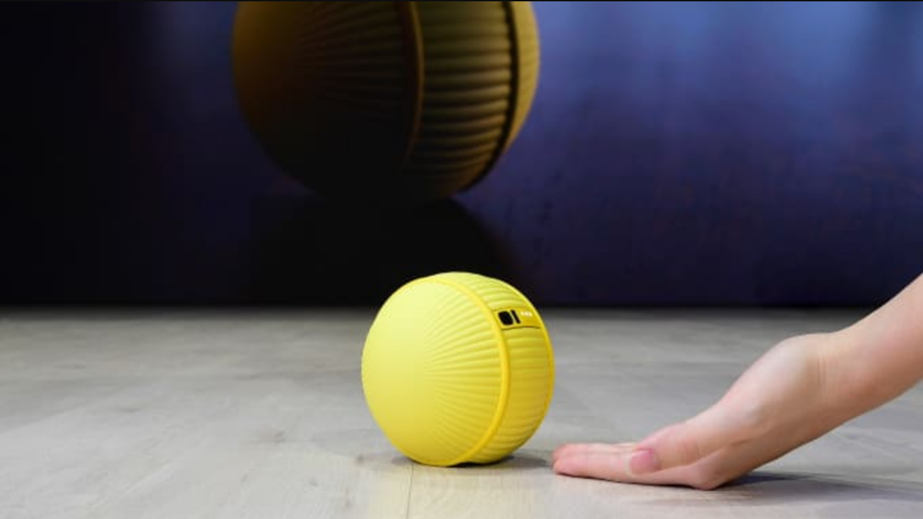 На выставке CES 2020 представили уникальный "робо-мяч"