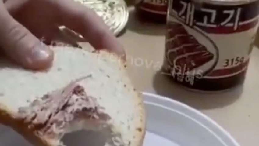 Bild: Окупантам поставили собачатину з КНДР