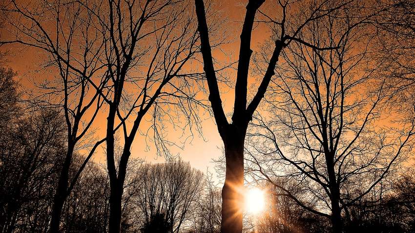 Весеннее равноденствие: что нельзя делать в этот день