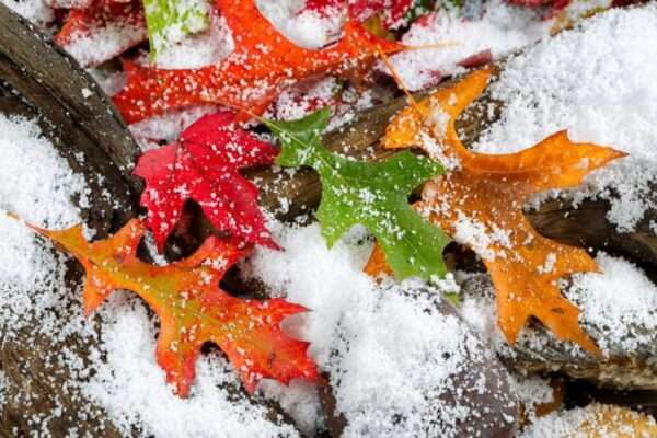 Зима близко: синоптики рассказали, какими будут последние дни осени