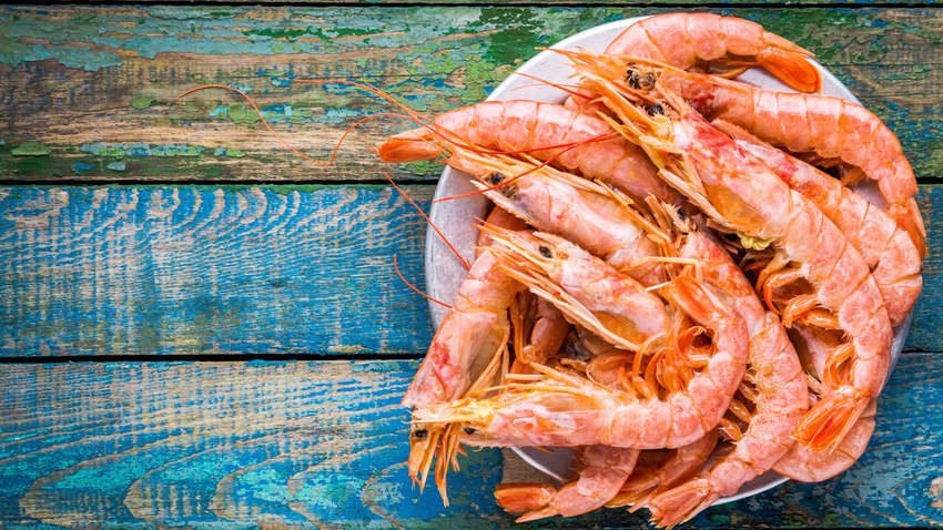 В чем заключается главная польза креветок для организма
