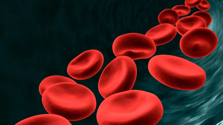 Независимо от вакцинации: кто больше всего склонен к развитию тромбоза