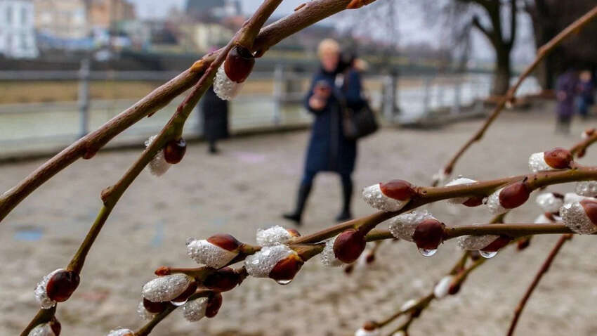 Приметы 27 марта: что можно и нельзя делать сегодня