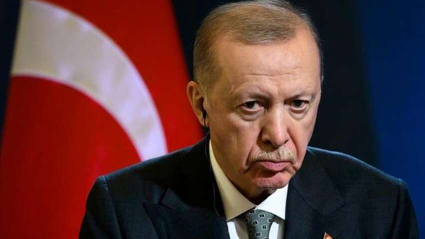 Эрдоган сделал новое заявление о встрече Зеленского и Путина