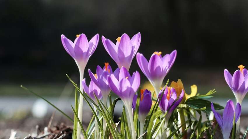Церковный праздник 21 марта: чего нужно стараться избегать в этот день Церковный праздник 21 марта: чего нужно стараться избегать в этот день