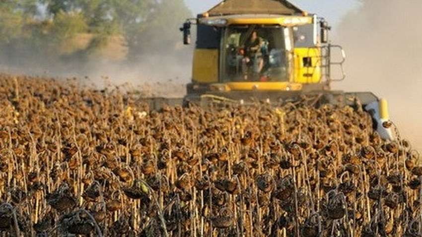 Какие товары сельского хозяйства стало нерентабельно производить в Украине