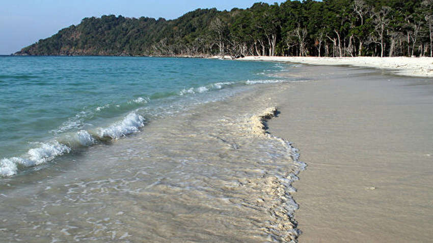 На пляже в Австралии обнаружили «язык русалки»