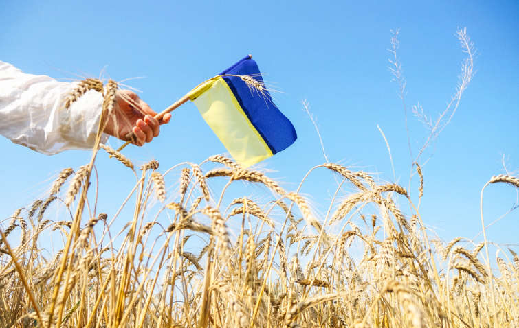 Украинцам предложили на референдуме утвердить план победы  