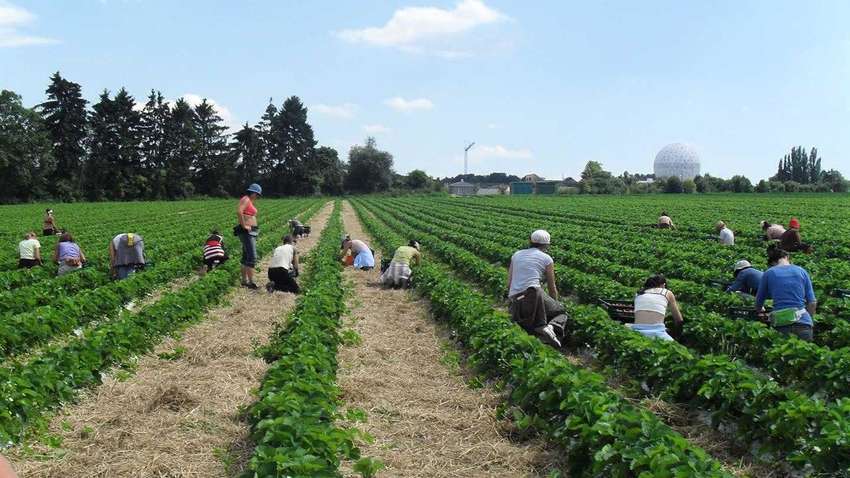 Україна поки що не відпускатиме громадян на заробітки за кордон – МЗС