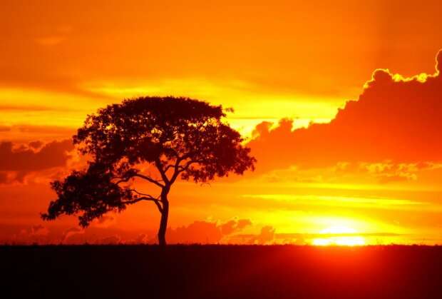 Наступні 5 років прогнозуються найспекотнішими на планеті