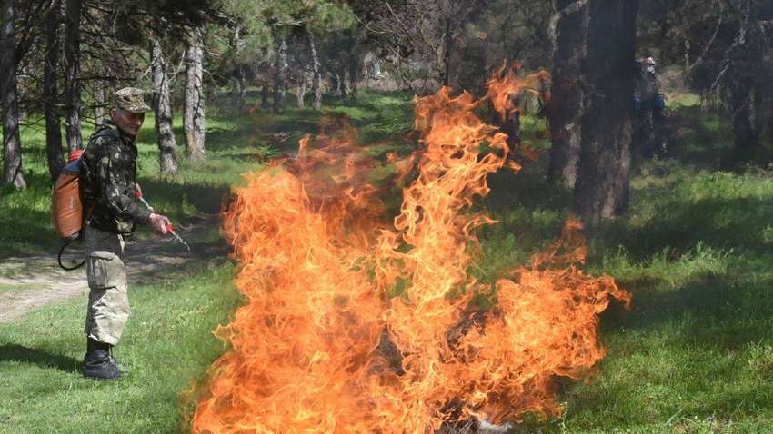 В Україні оголосили надзвичайний рівень пожежної небезпеки