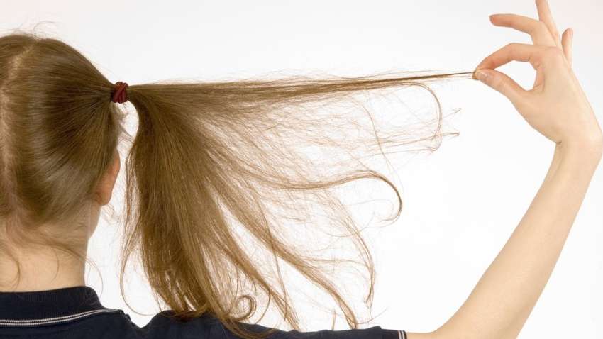 Вши у ребенка - насколько это опасно? Вши у ребенка - насколько это опасно?