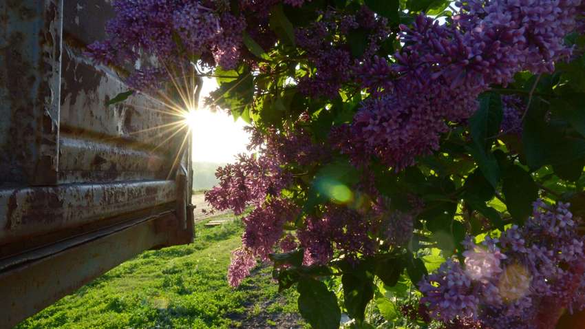 Прогноз погоды на 11 мая: украинцы почувствуют лето 