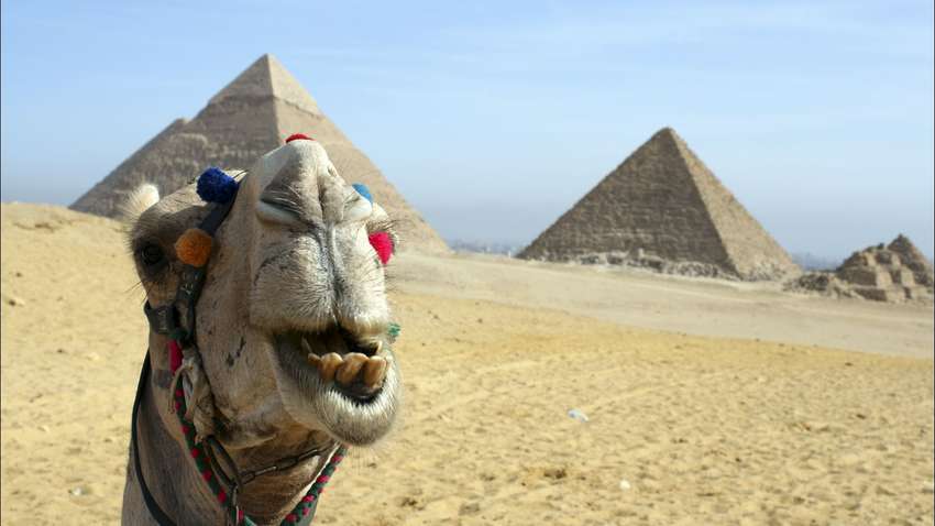 В Египте запретили залазить на пирамиды и обещают жестко наказывать 