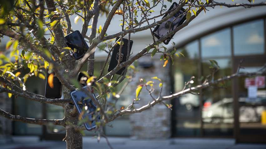 Смартфоны на деревьях: курьеры Amazon придумали, как обойти конкурентов