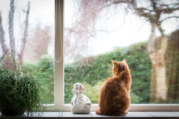 Синоптики розповіли про погоду на найближчі дні