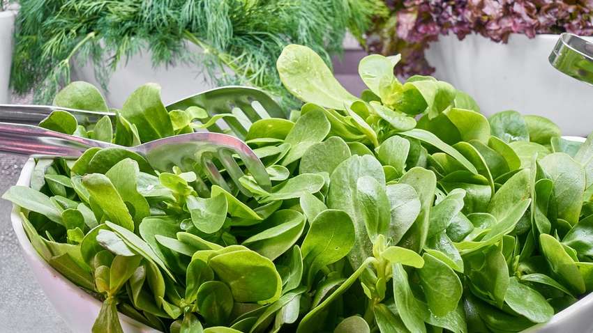 Післяноворічний детокс: гарячі поради, як “прийти в себе” після свята