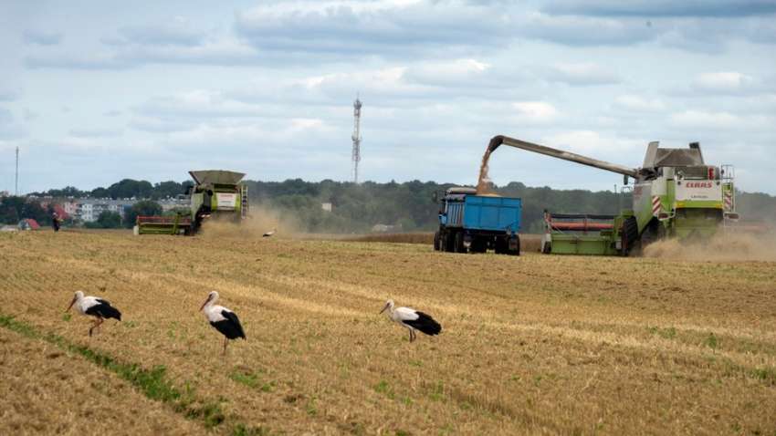 Франція та Німеччина розкритикувала позицію Польщі та інших сусідів України Франція та Німеччина розкритикувала позицію Польщі та інших сусідів України