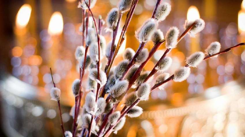 Вербна неділя 2022: що не можна і можна робити у цей день