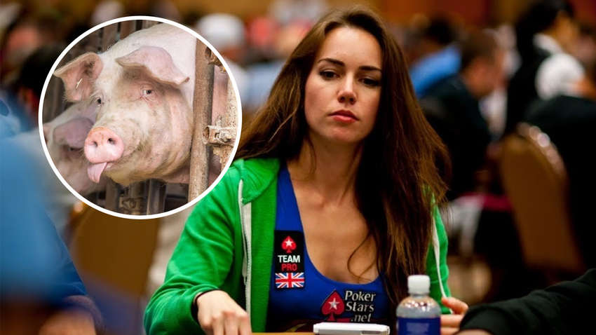 Покерна зірка пожертвувала півмільйона доларів на допомогу свиням: як вона пояснила це рішення Покерна зірка пожертвувала півмільйона доларів на допомогу свиням: як вона пояснила це рішення