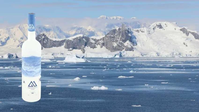 Водку из Африки назвали лучшей в мире: что делает ее особенной Водку из Африки назвали лучшей в мире: что делает ее особенной