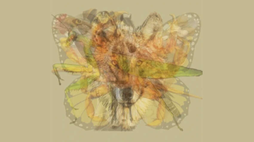 Психологічний тест розкриває ваші головні риси характеру