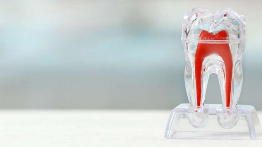 Науковці знайшли спосіб виростити нові зуби