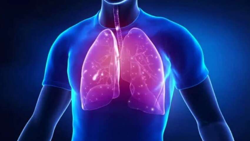 Топ продуктов, которые спасут легкие Топ продуктов, которые спасут легкие