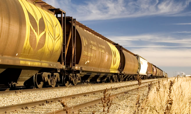 Украина отправила на экспорт уже 5,6 млн тонн зерновых