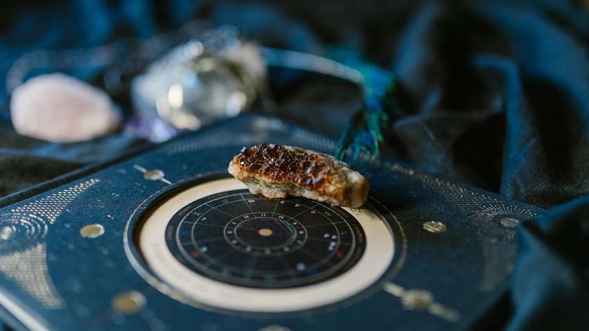 Великий гороскоп на серпень 2024 року: що зірки приготували кожному знаку Зодіаку Великий гороскоп на серпень 2024 року: що зірки приготували кожному знаку Зодіаку