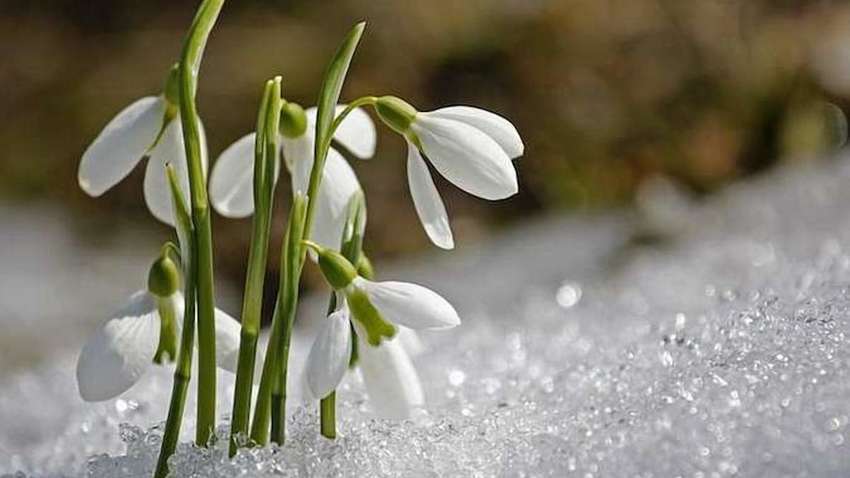 До 24 градусов тепла, ливни и грозы: синоптик озвучил прогноз погоды в Украине на каждый месяц весны 